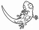 Coloring Pages Gecko Lizard Printable Cute Cartoon Vector Kids Getcolorings Illustration Frilled Neck Clipartmag Drawing Print sketch template