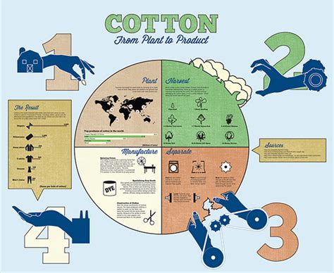 process  cotton infographic behance
