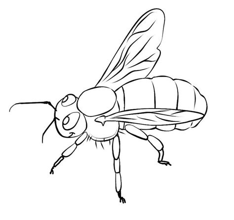 printable bee coloring pages  kids bee coloring pages animal