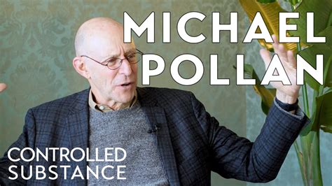 Michael Pollan On Psychedelics Youtube