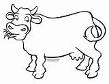 Cow Belajar Mewarnai Sapi Sketsa Hewan Kleurplaat Binatang Tk Pola Cows Moo Ayam Herbivora Animales sketch template