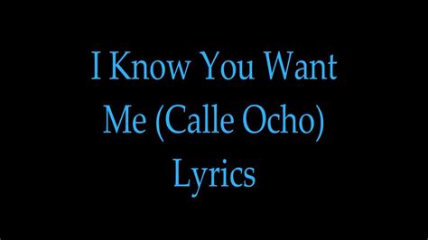pitbull i know you want me calle ocho with lyrics youtube