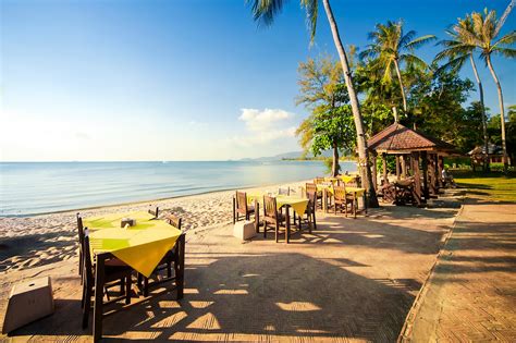 beachfront restaurants  koh samui   eat  koh samui   feet