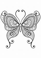 Papillon Adulti Papillons Motifs Insectos Insetti Coloriages Farfalle Jolis Insectes Fleur Justcolor Insects Colorier Farfalla Stampare Adultos Adultes Complexes Superbes sketch template