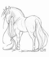 Friesian Coloring Pages Horse Drawings Collections Printable Getdrawings Getcolorings Deviantart Horses sketch template