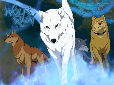 favourite anime  wolves  poll results anime wolves fanpop