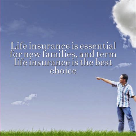 term life insurance quotes  quotes life