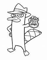 Coloring Ferb Phineas Spy Platypus Coloringonly Pirate Malvorlagen sketch template