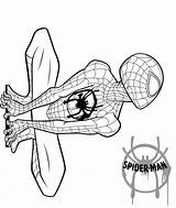 Morales Spiderman Coloriage Colorir Aranha Colorier Imprimer Loudlyeccentric Apprendre Spder Imprimé sketch template