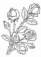 Coloring Pages Roses Rose Bunch Birthday Coloriage Happy Getcolorings Bouquet Color Printable Dessin sketch template