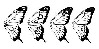 image result  butterfly wings tutorial animal drawings wings