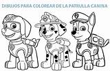 Paw Patrulla Canina Skye Imprimir Kartoons Seleccionar sketch template