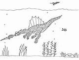 Spinosaurus Coloring Pages Baryonyx Suchomimus Sawfish Robin Great sketch template