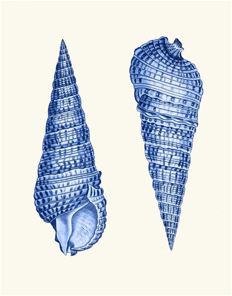 somerset house images  blue shells