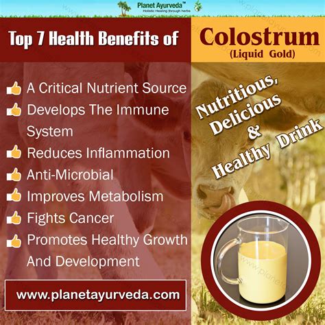 colostrum is also known as the first milk or mother s