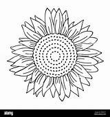Sunflower Outline Girasole Colorare Drawing Zonnebloem Svg Sonnenblume Layered Eenvoudige Semplice Zeichnung Skizzieren Malbuch Einfache Contorno Eps10 sketch template