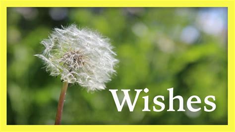 wishes youtube