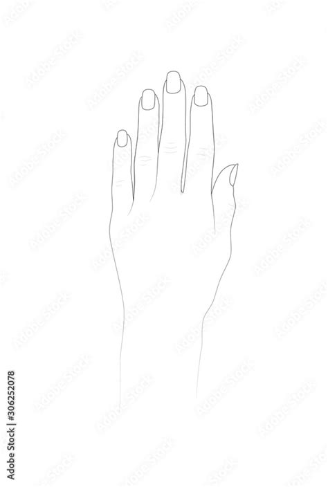 hand template  henna design  nail art practice vector