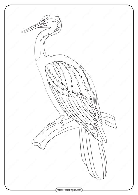 printable animals bird  coloring pages