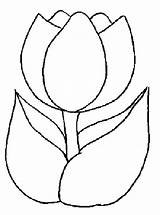 Tulip Coloringfolder sketch template
