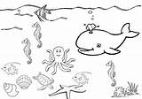 Sea Under Coloring Pages Printable Drawing Print Ocean Color Drawings Getdrawings Star Getcolorings Kids Without Inspiration Designlooter Davemelillo Coloringtop sketch template