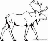 Moose Coloring4free Mascots sketch template
