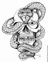 Snake Skull Deviantart Hassified Tattoo Drawing Coloring Pages Drawings Skulls Adult Dark Sketch Serpente Tattoos Hand Old Deviant School Traditional sketch template
