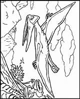 Pteranodon Coloring Pages Crayola Dinosaurs Magic Dinosaur Dimorphodon Color Treehouse Book Dark Before Print Flying Sparad Från sketch template