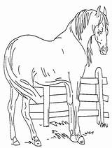 Coloring Horse Pages Breyer Popular sketch template