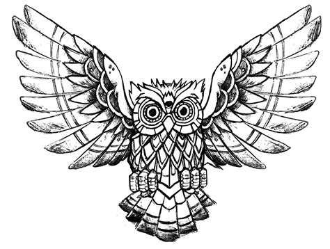 owl raw drawing owls adult coloring pages