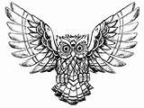 Owl Coloring Pages Drawing Owls Printable Raw Advanced Adults Kids Animals Print Color Book Incredible Children Beautiful Justcolor Adult Clipartmag sketch template