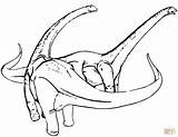 Diplodocus Coloring Pages Two Categories sketch template