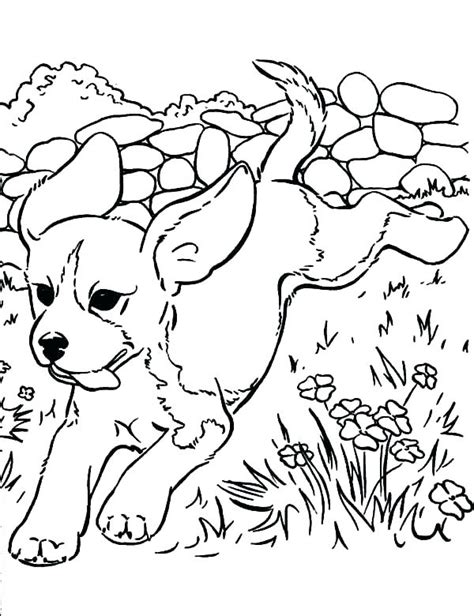 coloring pages  husky puppies  getcoloringscom  printable
