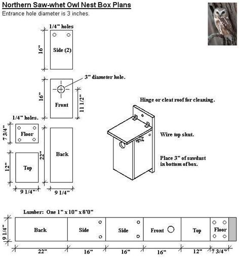 inspirational owl bird house plans  home plans design
