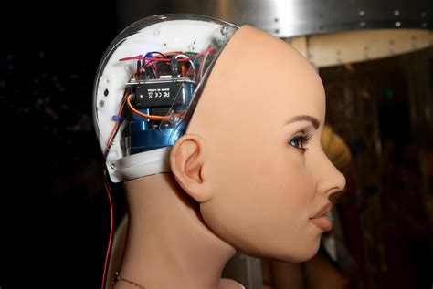 sex robots teledildonics and the rise of technosexuals observer