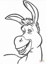 Coloring Donkey Pages Smiling Drawing Printable Silhouettes sketch template