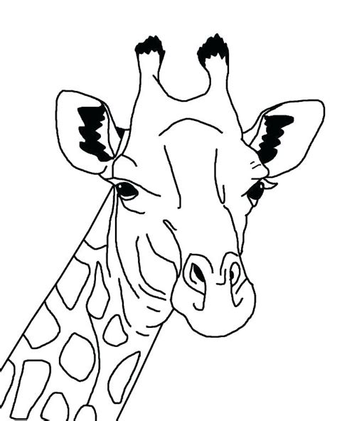 cute baby giraffe coloring pages  getdrawings
