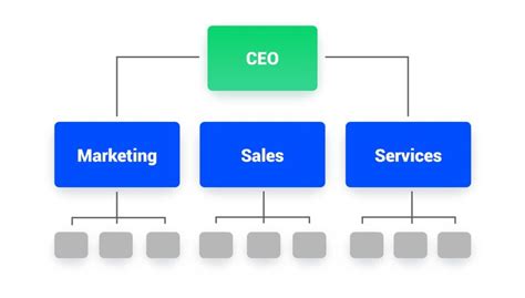 efficient types  marketing organizational structures