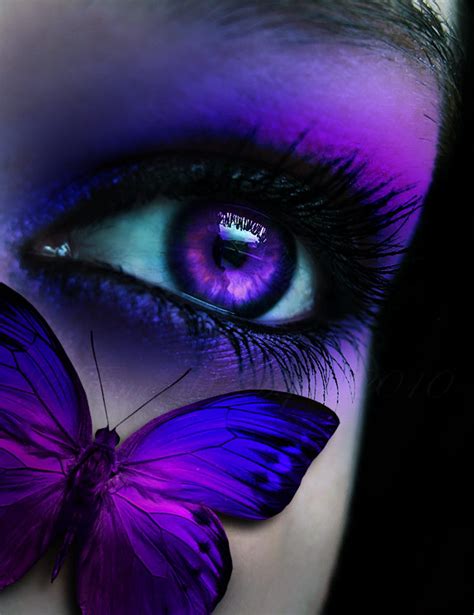 Beautiful Butterfly Eye Photo Photography Pretty
