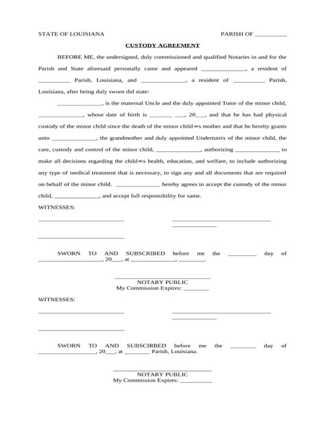 custody agreement document  template pdffiller