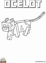 Minecraft Ocelot Painter Adapted sketch template