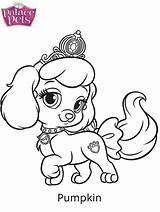 Palace Pets Pumpkin Coloring Pages Printable Kids sketch template