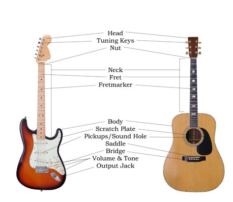 guitar homestudy anatomy   guitar