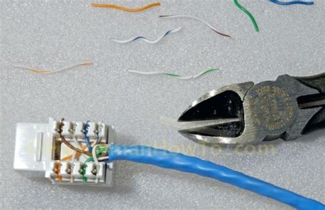 leviton cat jack wiring diagram