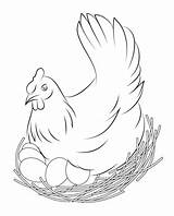 Hen Coloring Eggs Sits Printable Pages Categories Chicken Supercoloring sketch template