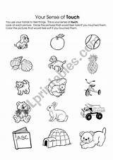 Touch Senses Worksheets Worksheet Preview Printable sketch template