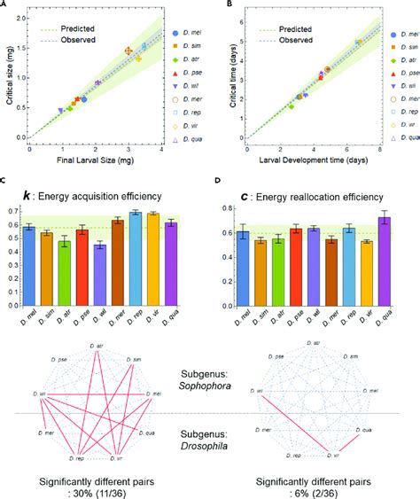 optimal scaling  critical size  critical time    scaling  scientific