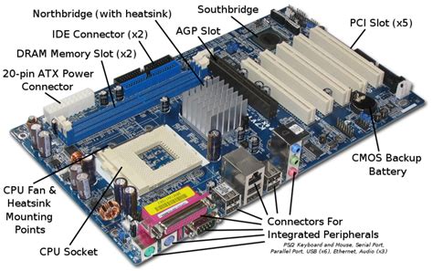 賭け アベニュー そこから Parts Of Cpu Clovercocker Jp