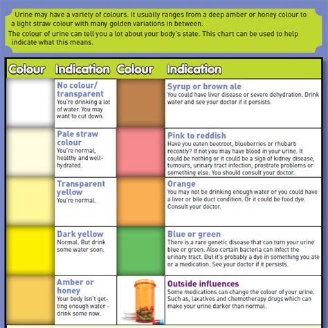 sample urine color chart templates   ms word