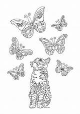Coloring Pages Cat Butterfly Butterflies Colouring Adult Animal Kittens Book Books Fler Cz Printable sketch template